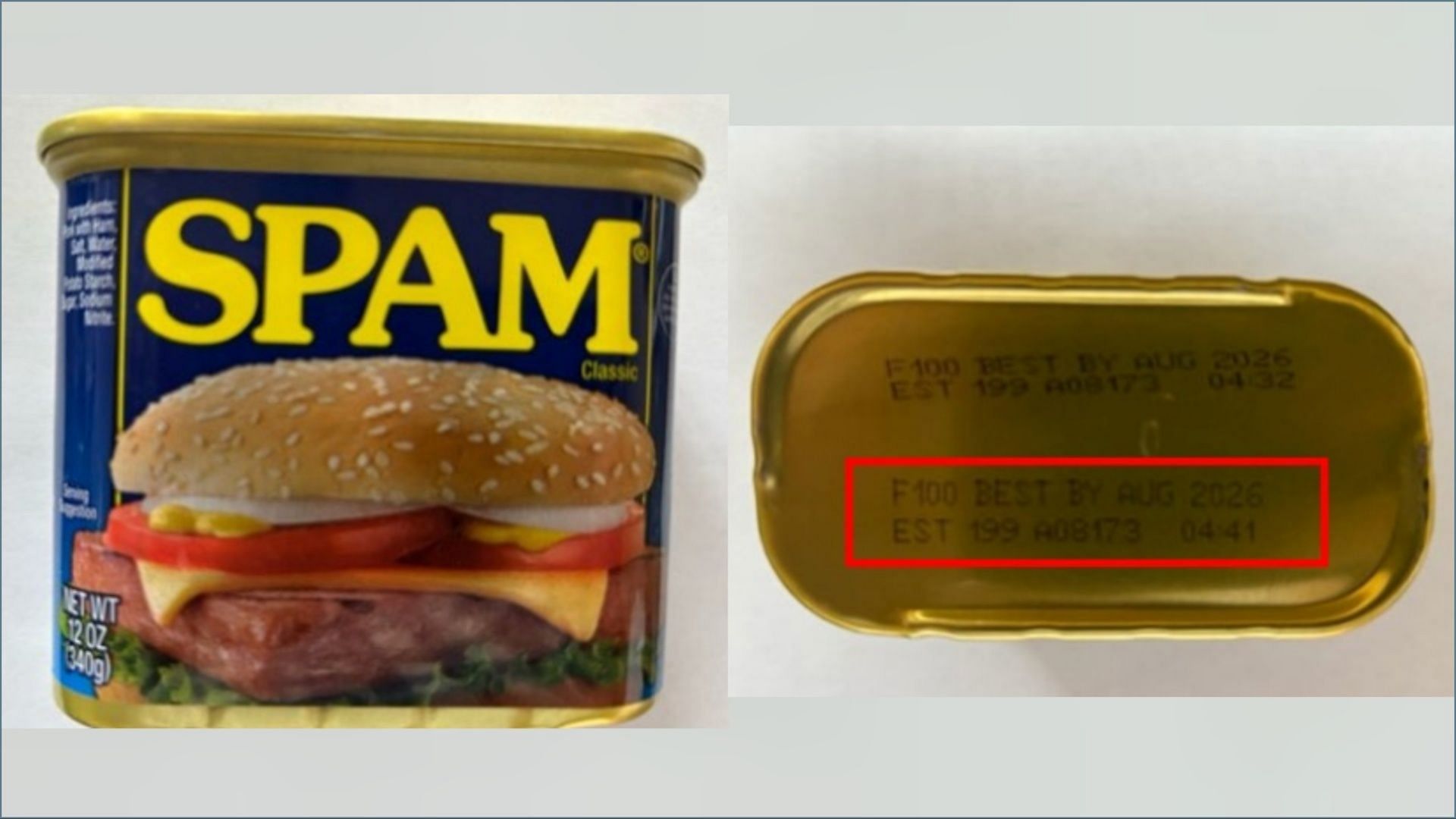 FSIS issued public health alert for Canned Meat products over under-processing concerns (Image via FSIS)