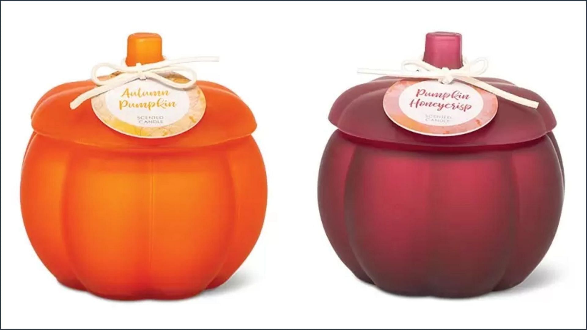 H. Home Frosted Pumpkin Candles (Image via Aldi)