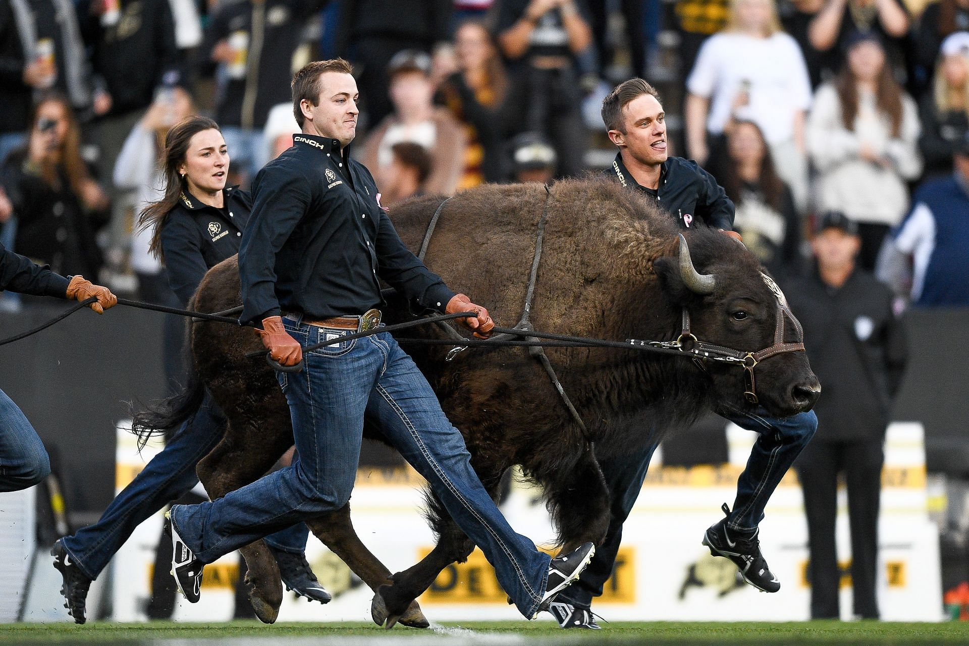 Arizona State v Colorado