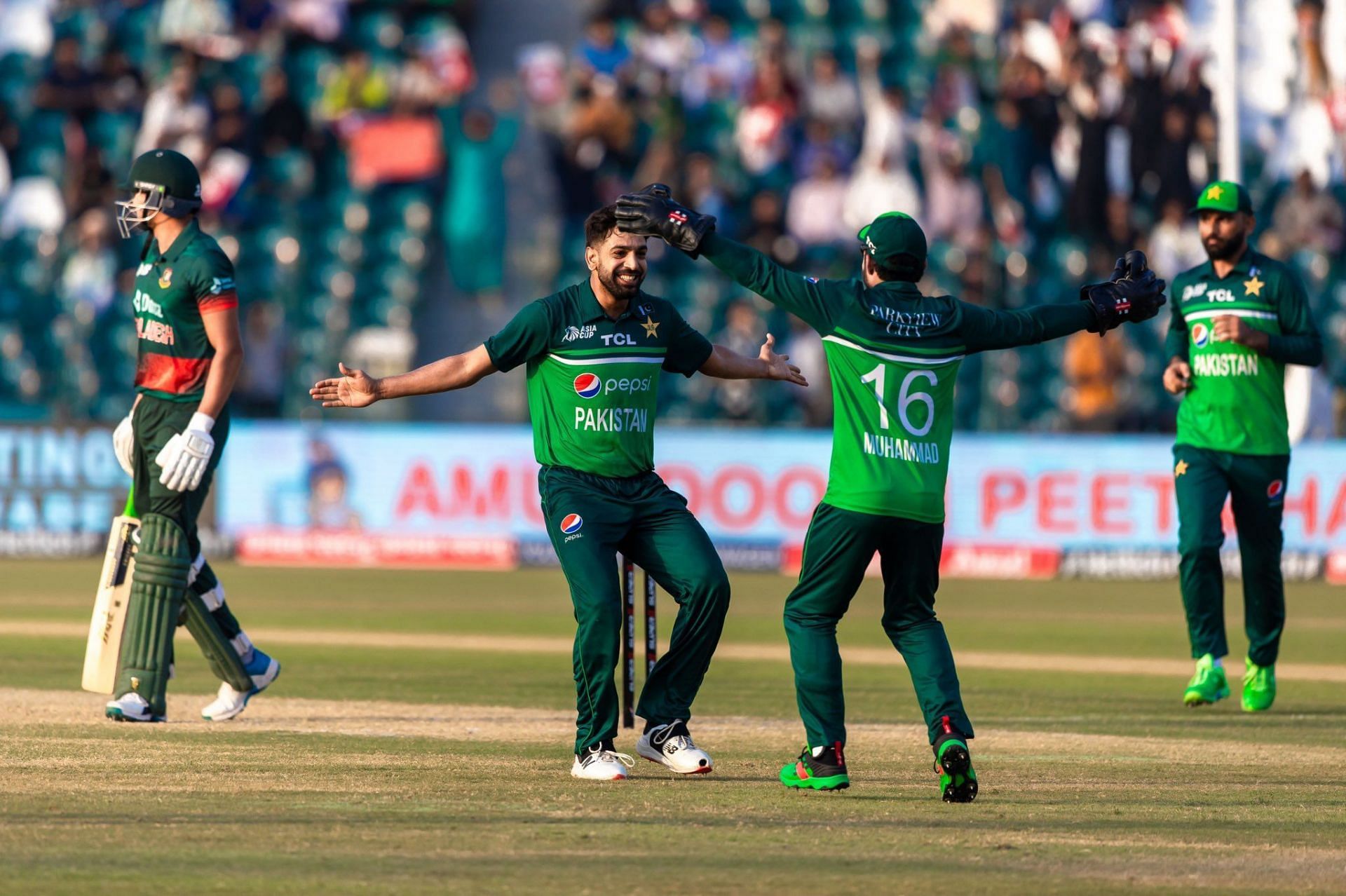 Haris Rauf celebrates a wicket against Bangladesh. (Credits: Twitter)