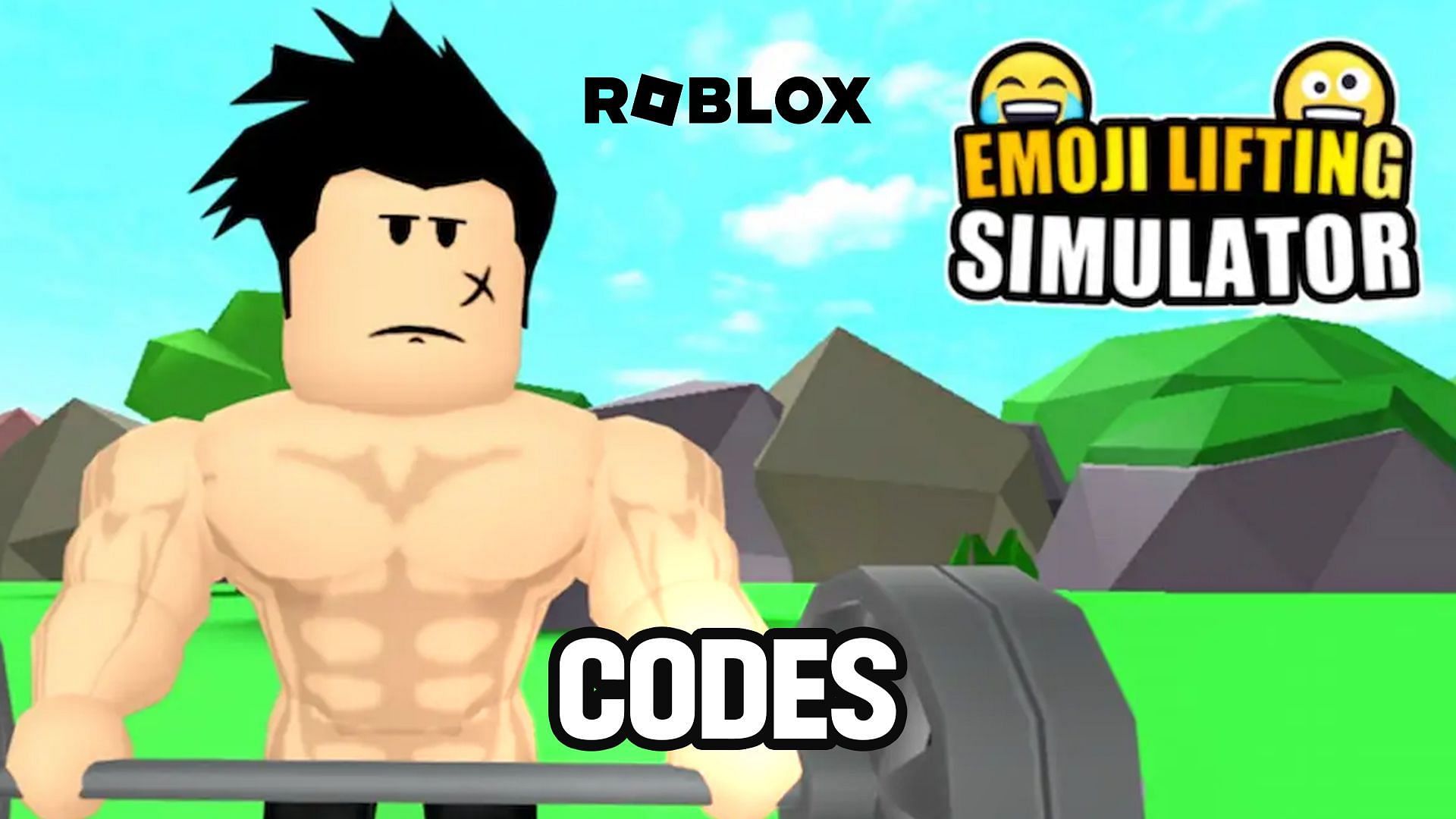 Lifting simulator codes