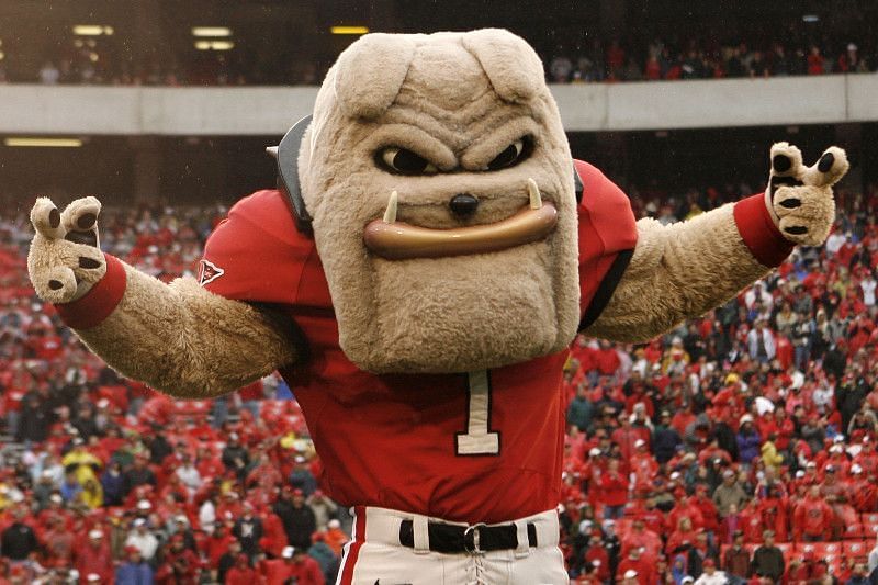 Georgia&#039;s Mascot