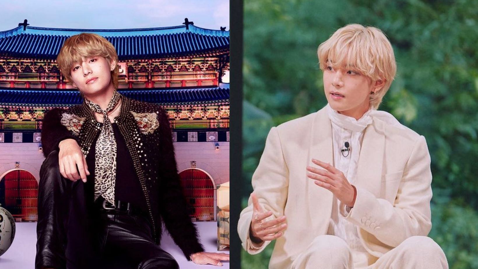 &quot;The national treasure&quot;: Fans euphoric as Taehyung