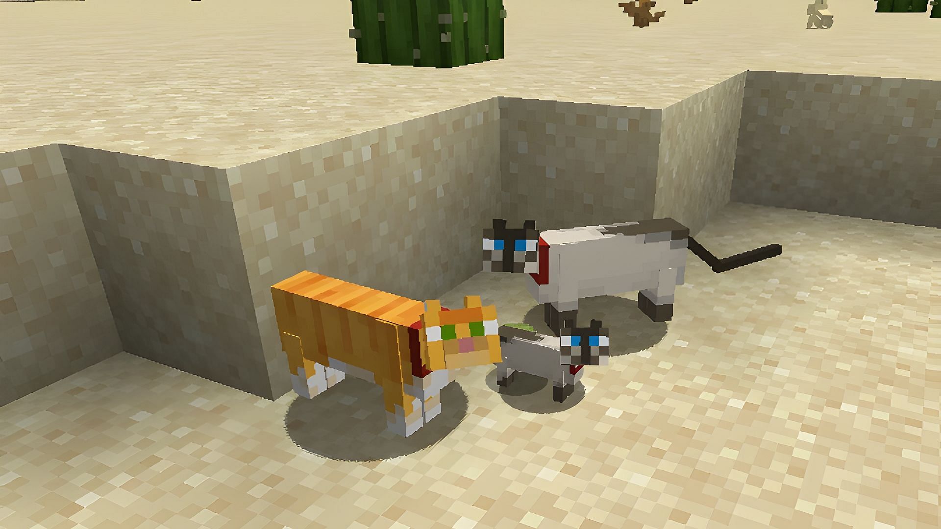 Cats can breed with the right food items, much like other mobs (Image via Mojang)
