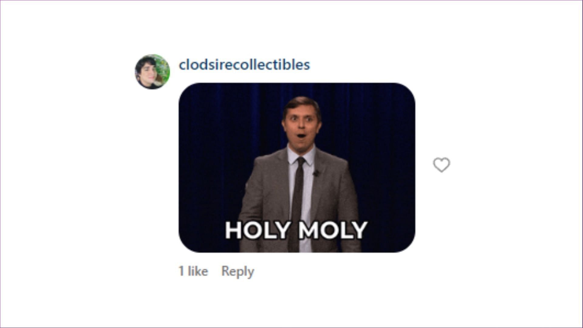 Comment by the user @clodsirecollectibles on Instagram (Image via Instagram)