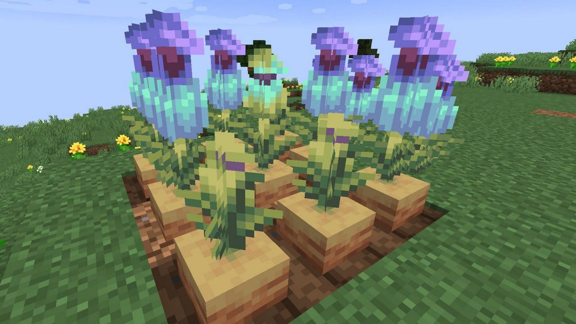 Minecraft players discuss about how useless pitcher plant is in Minecraft (Image via Reddit/u/Delicious_Bus_674)