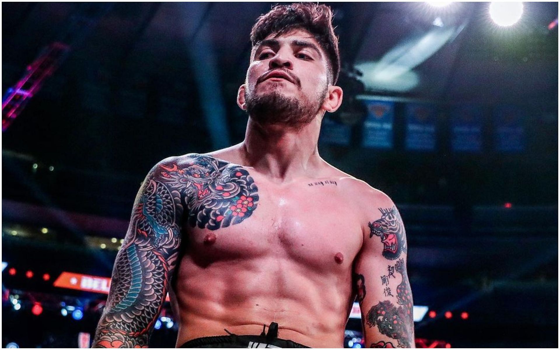 BJJ grappler Dillon Danis