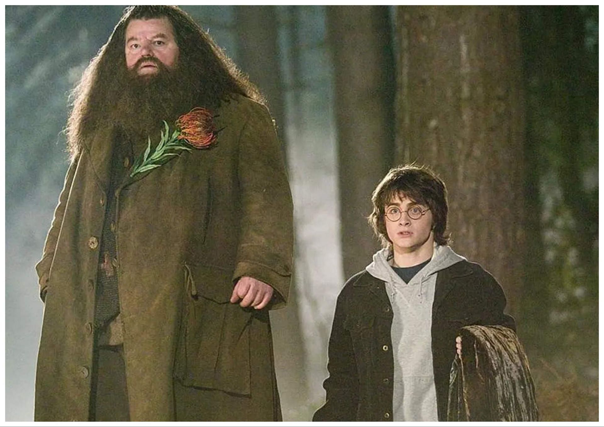 Diagnosed with obesity and Type 2 Diabetes (Image via Harry Potter Movie)