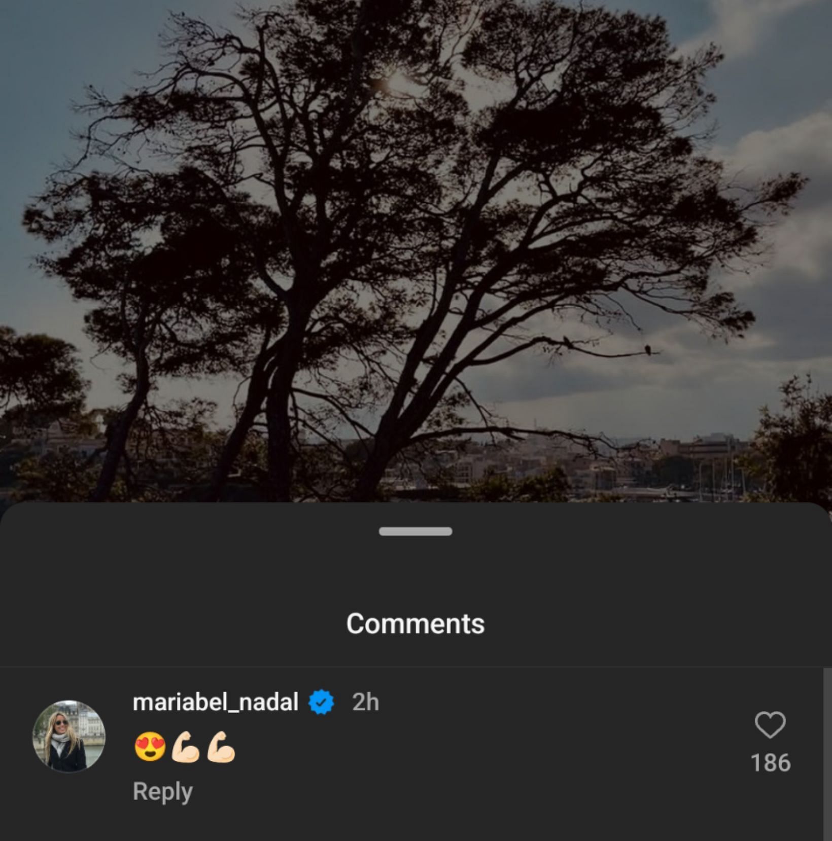 A screen capture of Maribel&#039;s comment on her brother&#039;s post