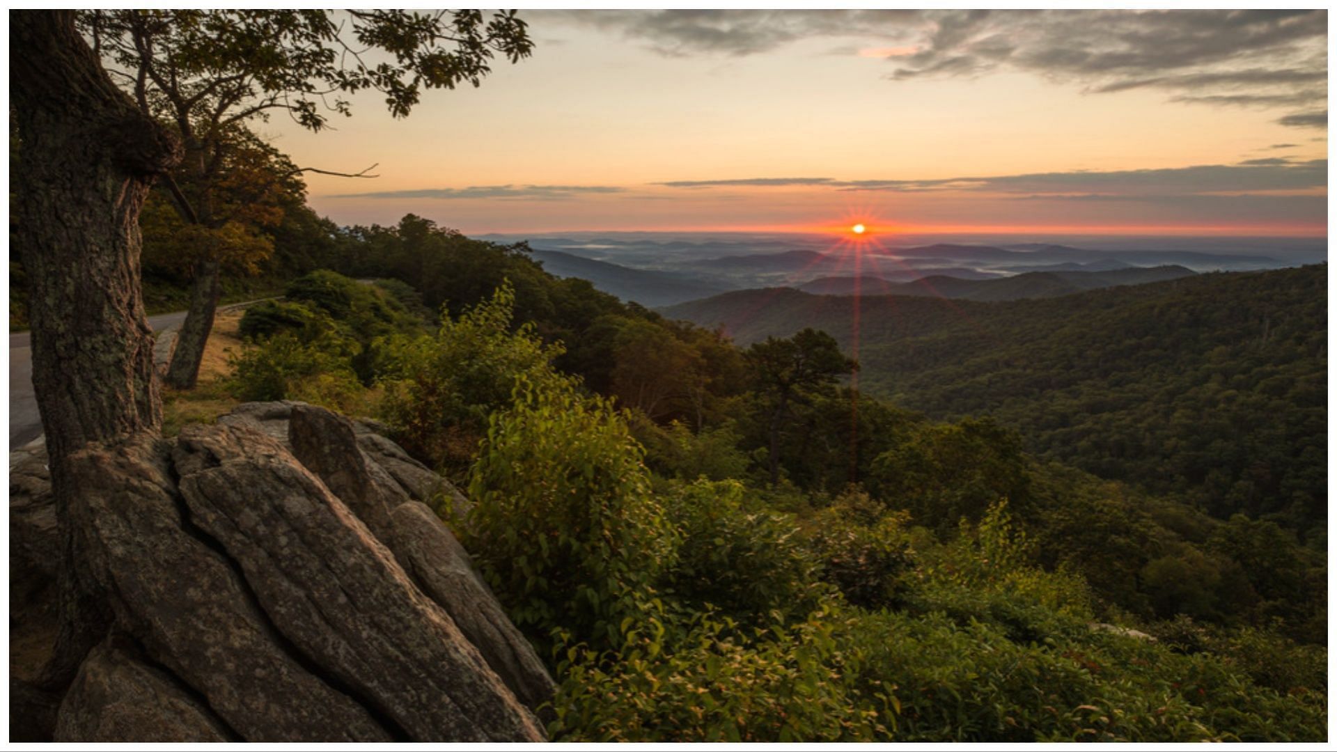 (image via Shenandoah National Park/Facebook)