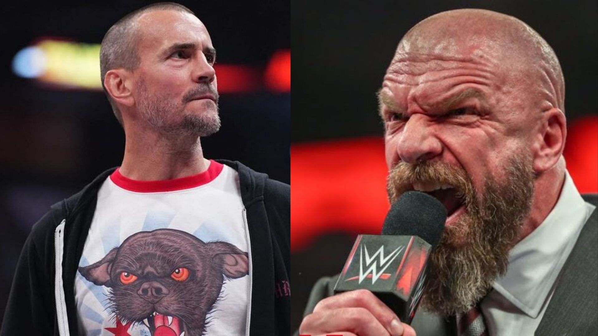 CM Punk (left) and Triple H (right)