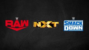Current champion makes bold statement about defending titles on all the WWE brands