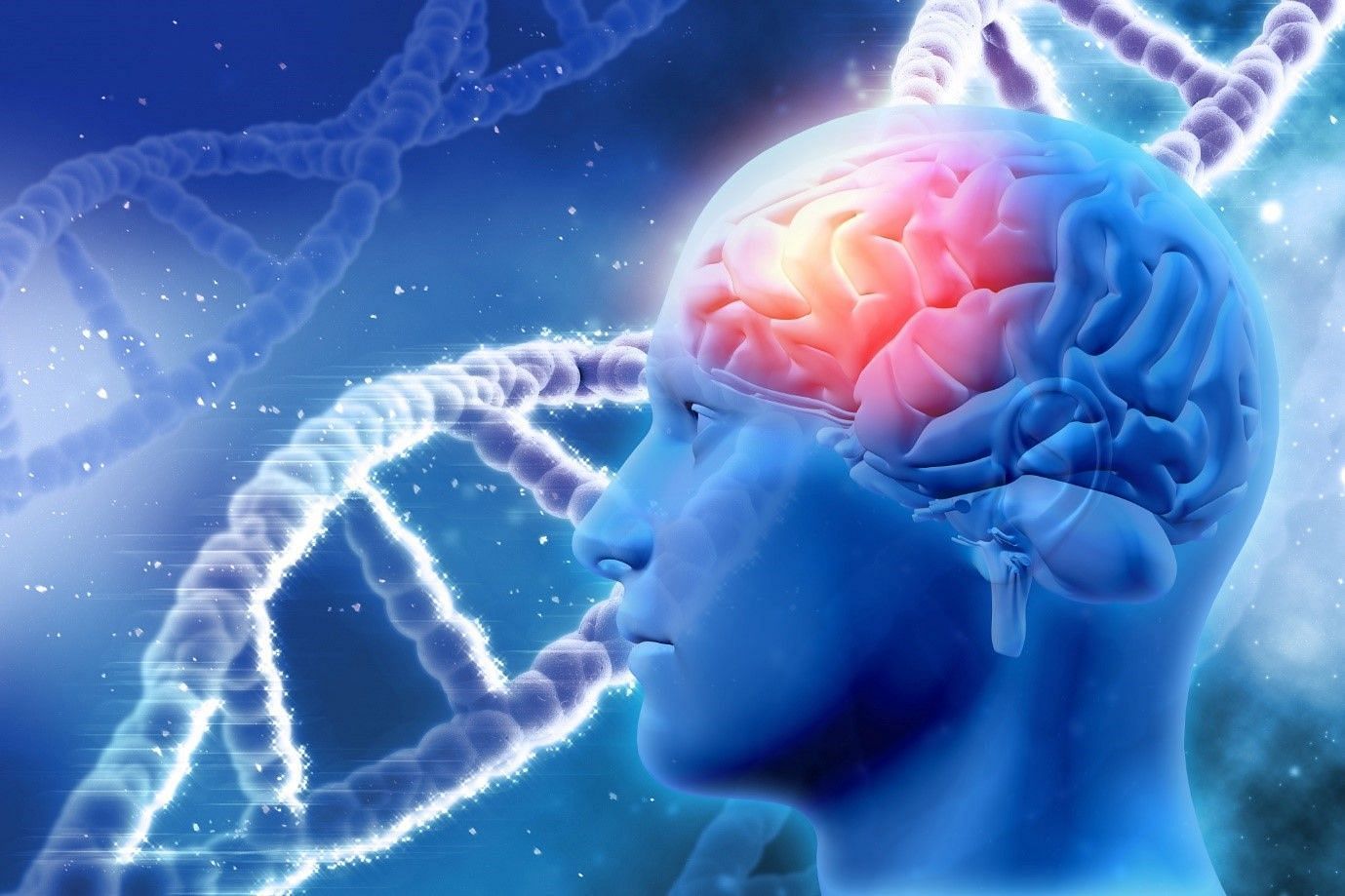Humans are the most developed beings on this planet because of their brains only (Image by Kjpargeter on Freepik)