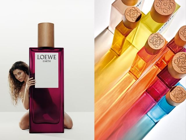 loewe rainbow