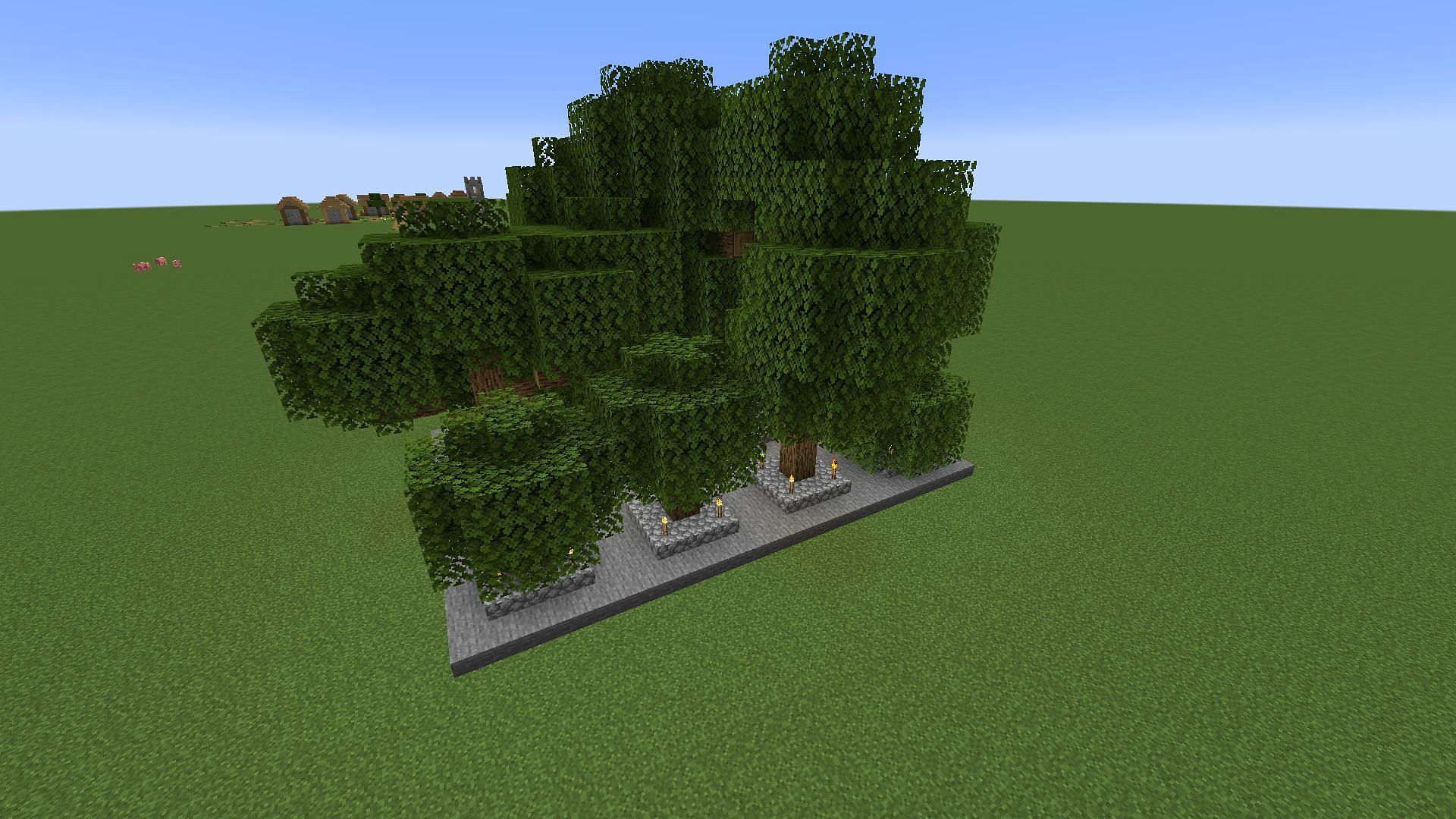 The trees are fully grown and ready to be cut down for their wood (Image via Mojang)