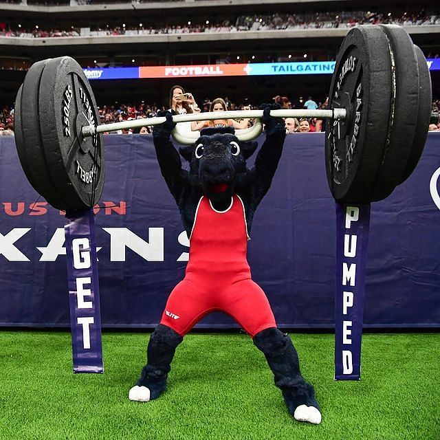 Texans&rsquo; mascot Toro