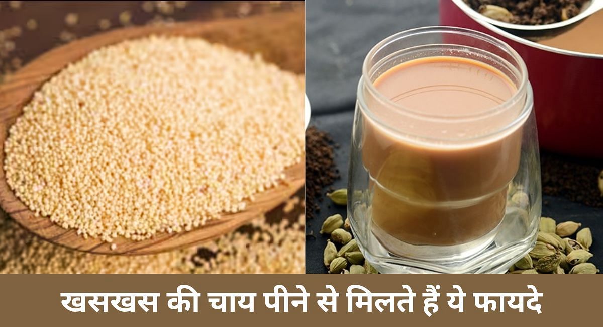 खसखस की चाय पीने से मिलते हैं ये फायदे(फोटो-Sportskeeda hindi)