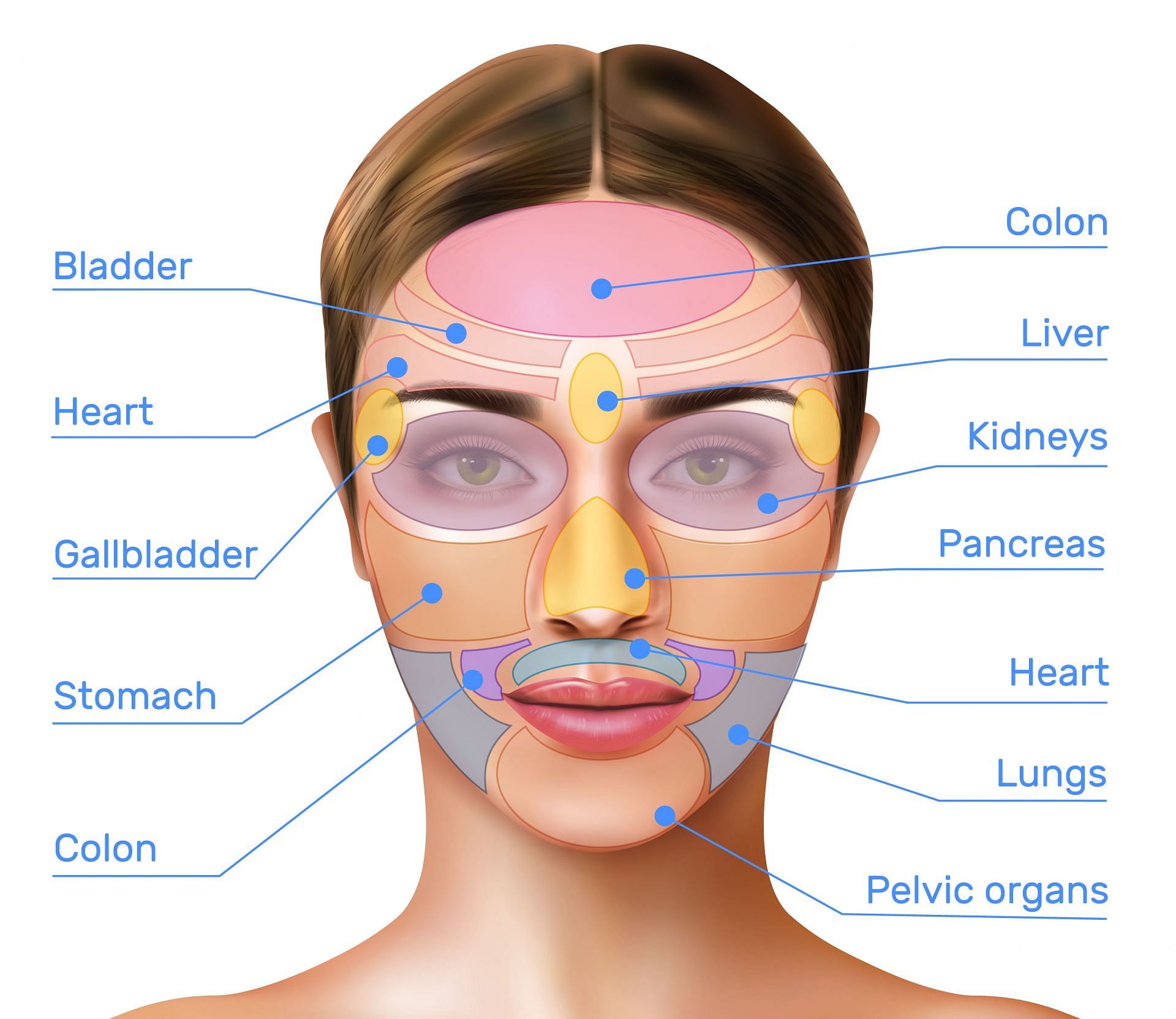 Face mapping is a traditional chinese practice used for diganosing health issues (Image via Freepik)
