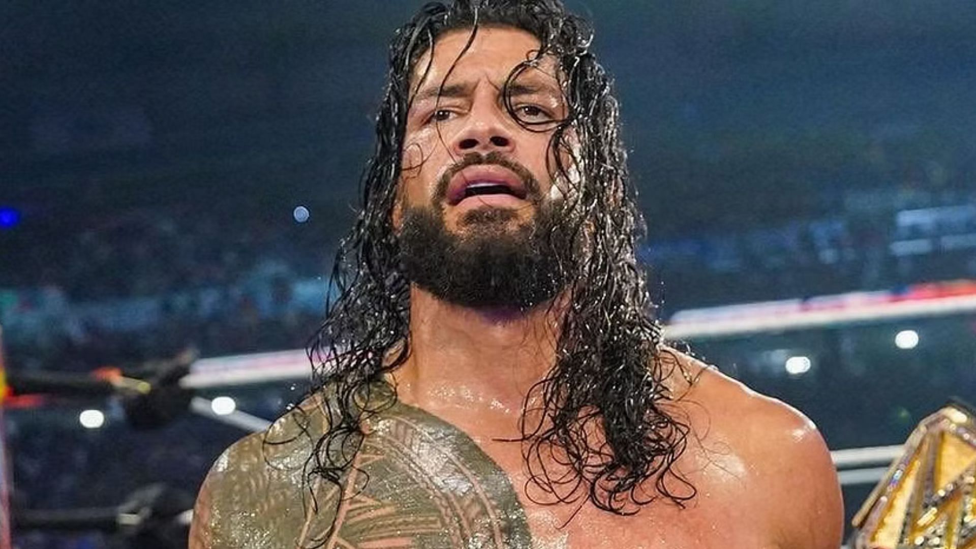 Roman Reigns is the current Tribal Chief. 