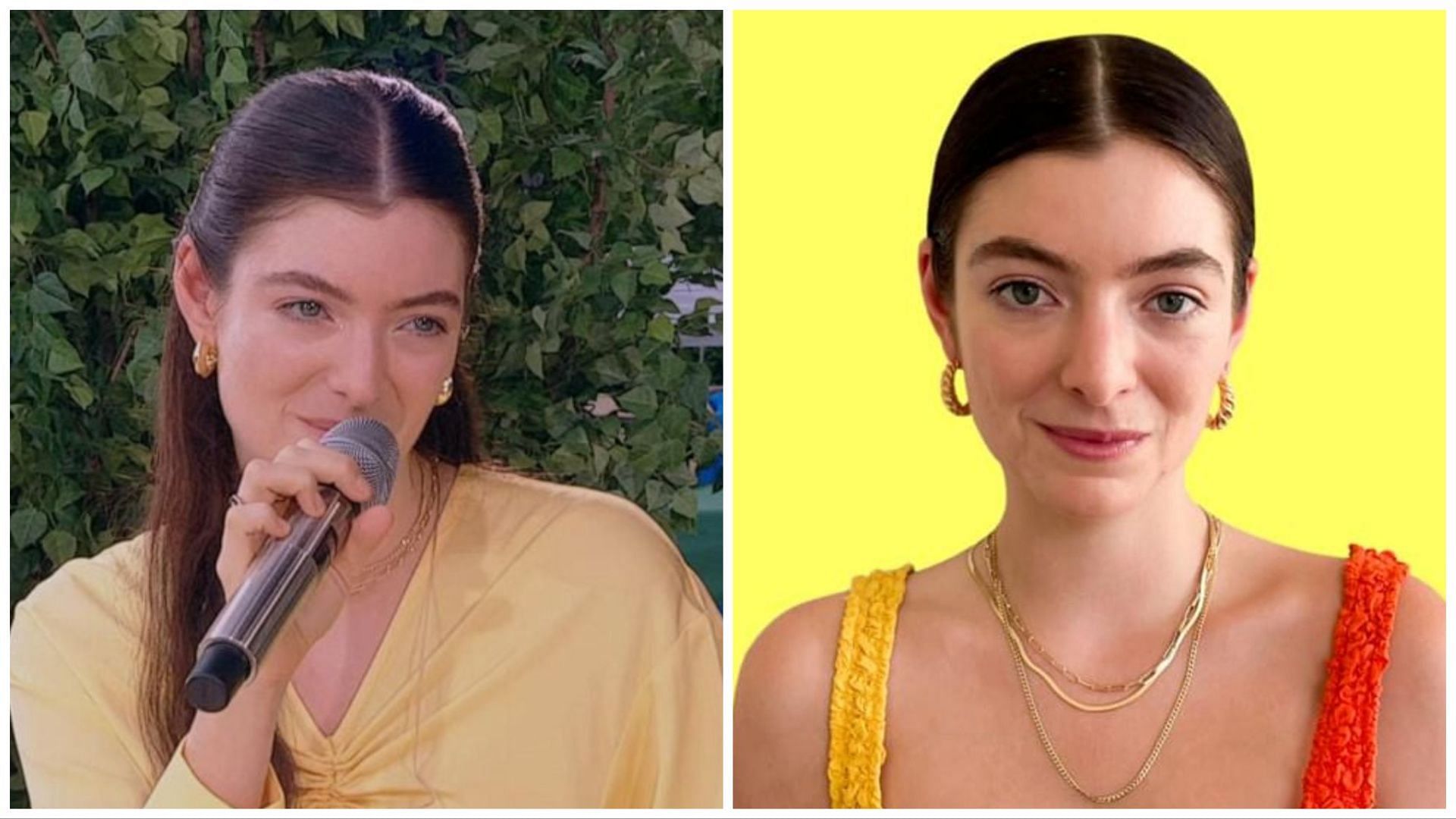 The pop star opened up about her relatiosnhip and recent heartbreak (Image via Facebook / @Lorde)
