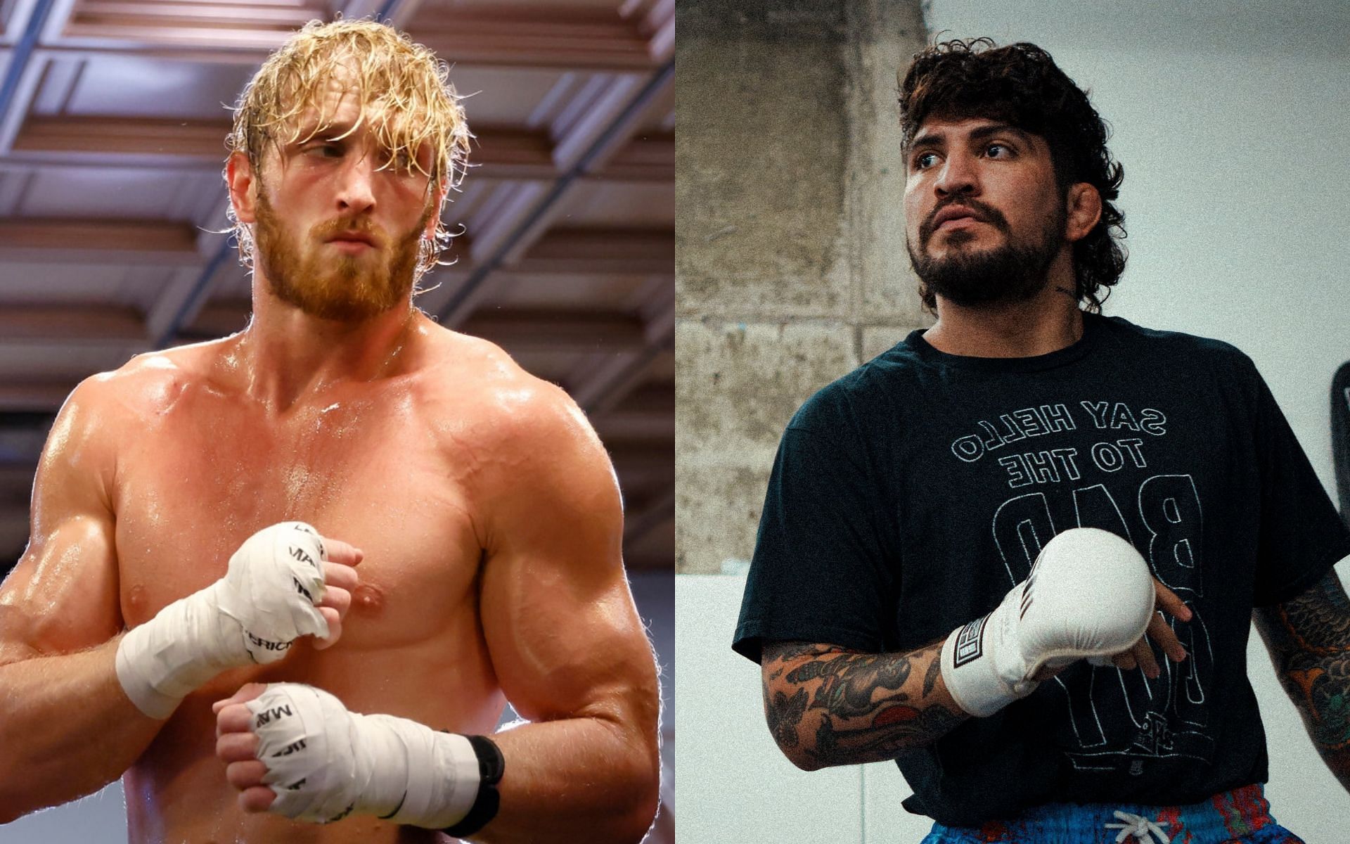 Logan Paul vs. Dillon Danis tickets price: Logan Paul vs. Dillon Danis