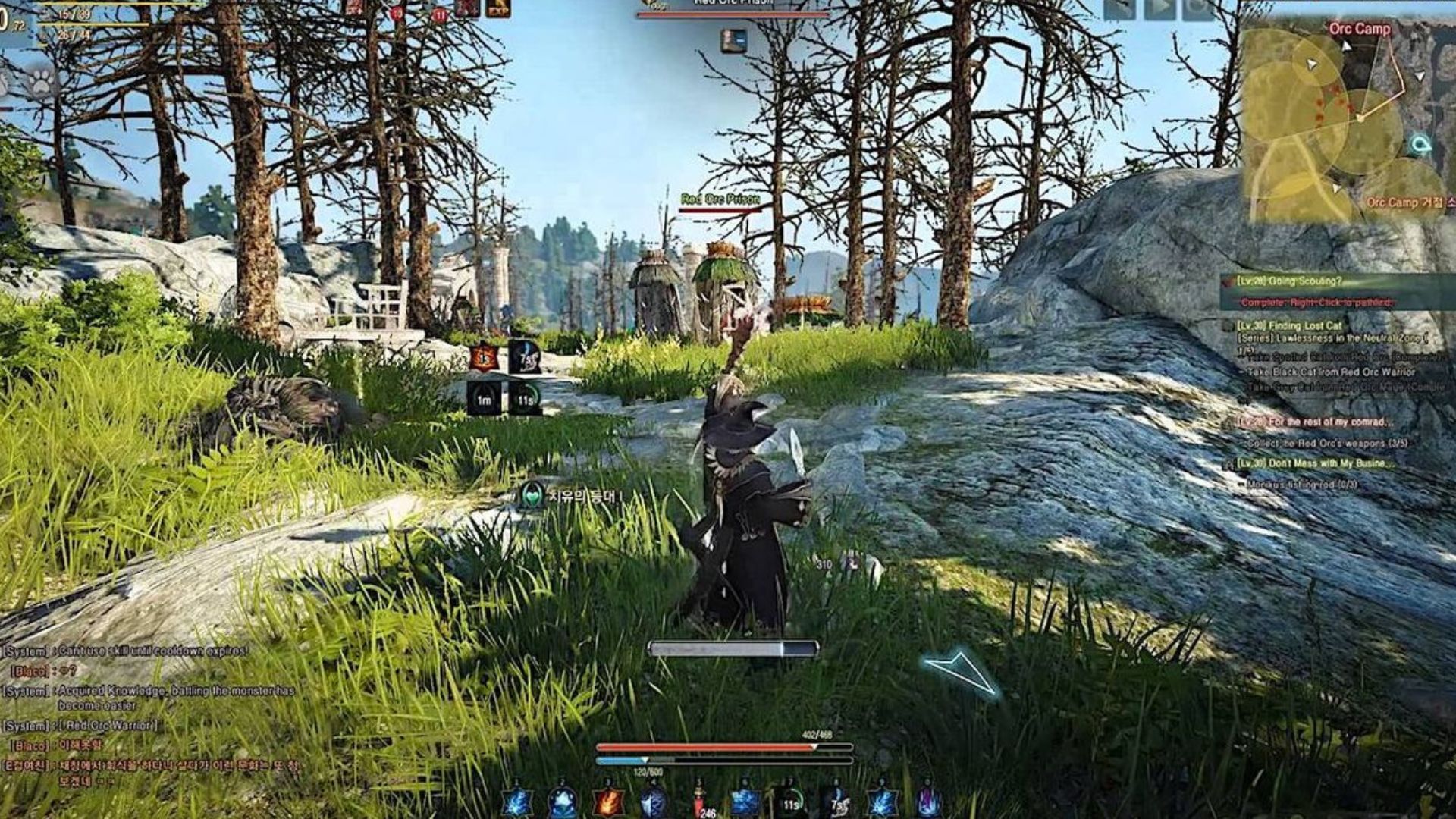 Black Desert Online (Image via Pearl Abyss)