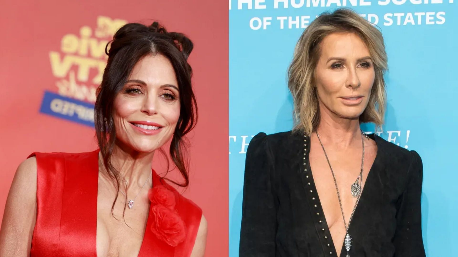 Bethenny Frankel gets called out by Carole Radziwill over TJ Maxx makeup controversy. (Image via Getty Images)