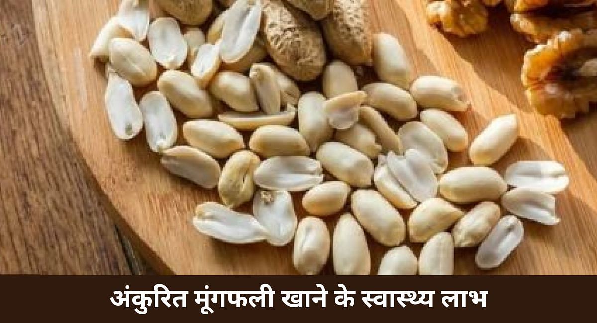 अंकुरित मूंगफली खाने के स्वास्थ्य लाभ(फोटो-Sportskeeda hindi)