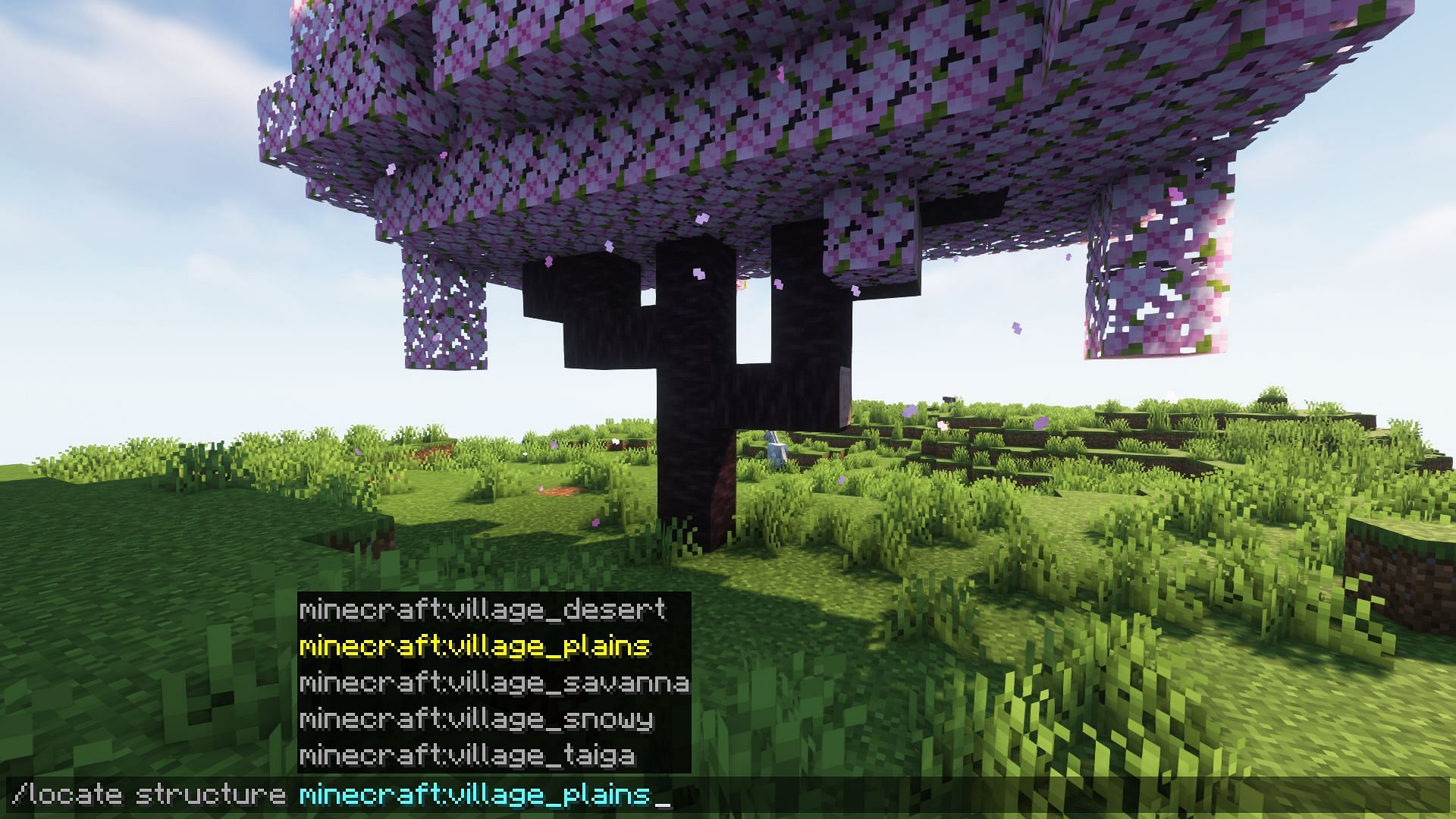 Using the /locate command to find a plains biome village (Image via Mojang)