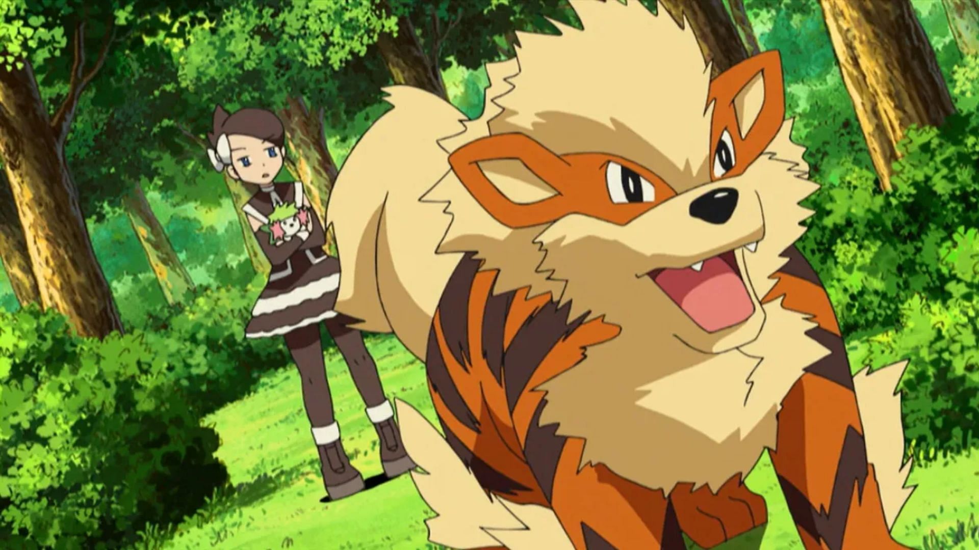 Arcanine as seen in the anime (Image via The Pokemon Company)