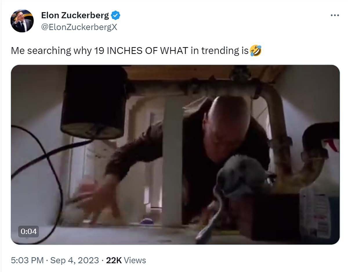 Inches: Why Is '19 Inches Of What' Trending On Twitter? Hilarious Venom 