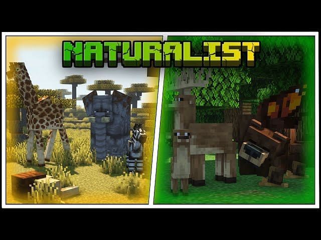 10 best Minecraft wildlife mods