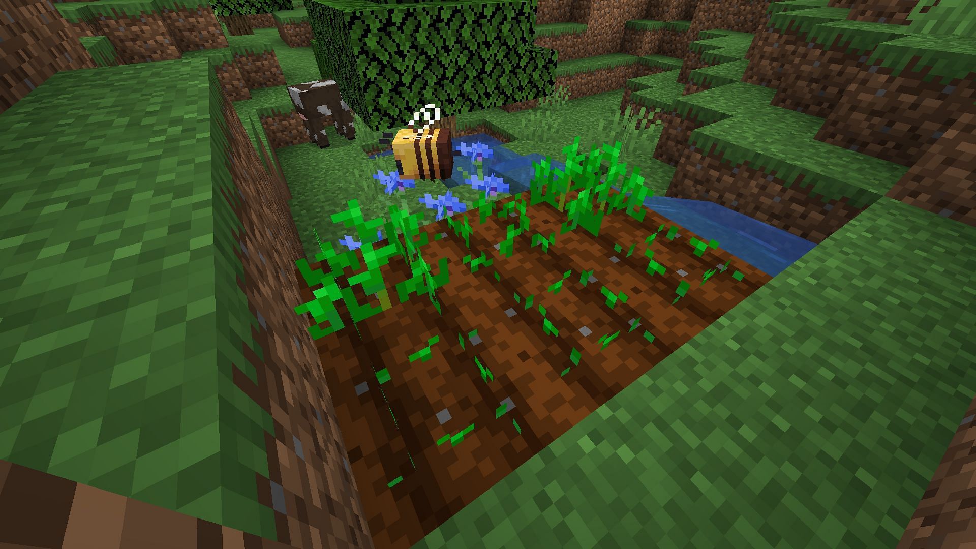 Bees can fertilize crops using pollen from flowers in Minecraft (Image via Mojang)