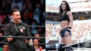 CM Punk shares heartwarming message about AJ Lee: "None of this is about me"