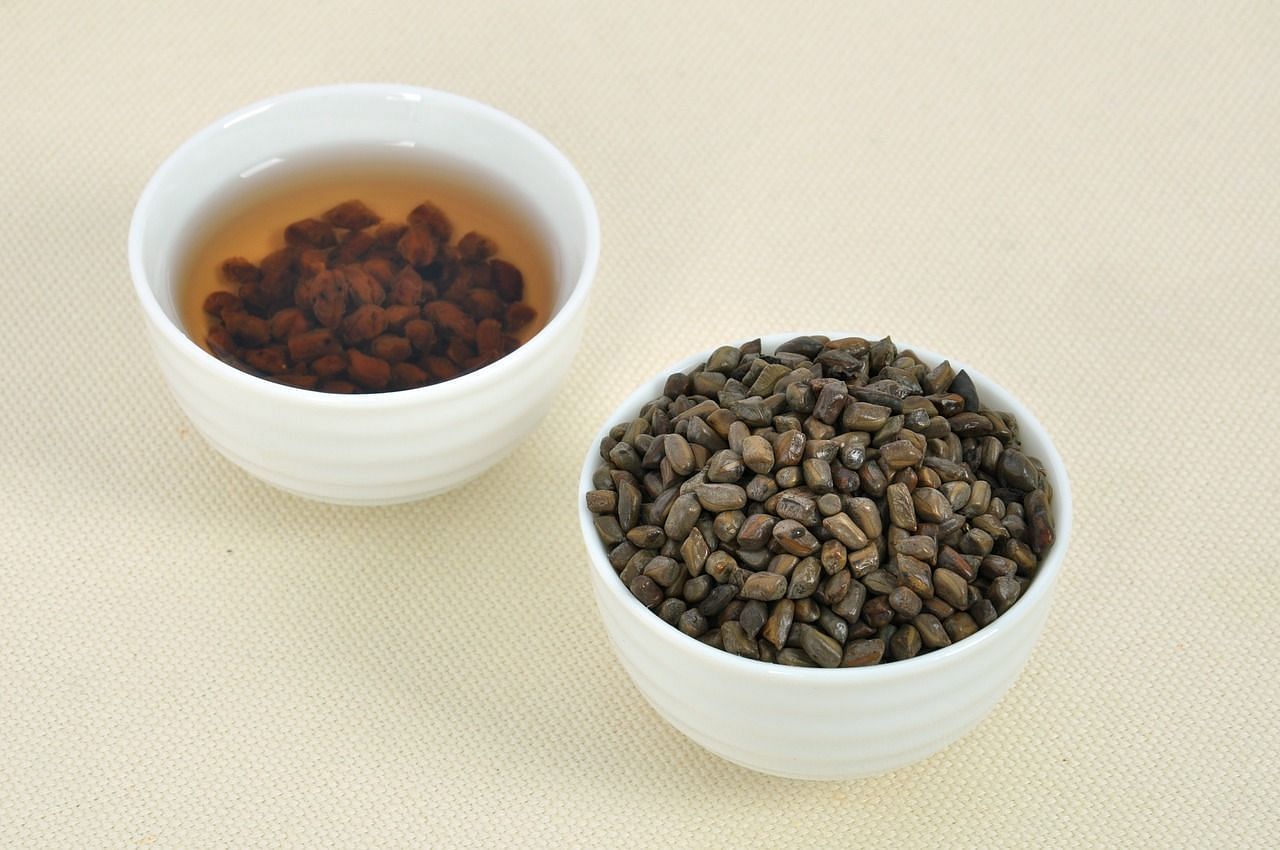 Benefits of barley tea (Image via Getty Images)