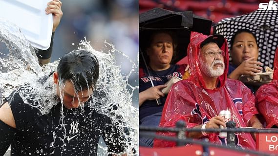 Lars Nootbaar grabs the pepper grinder after Albert Pujols hits