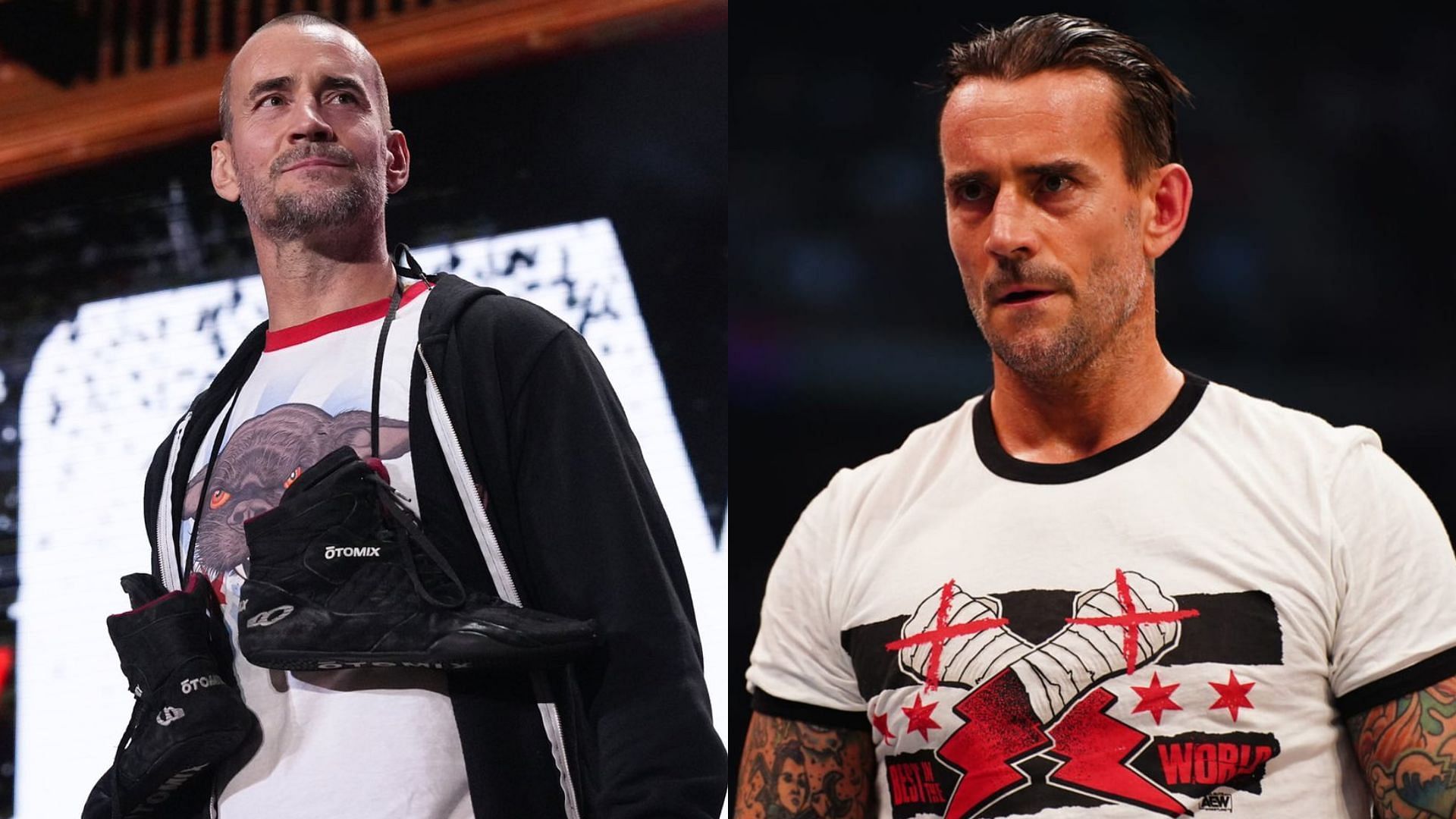 CM Punk is a controversial star in professional wrestling.