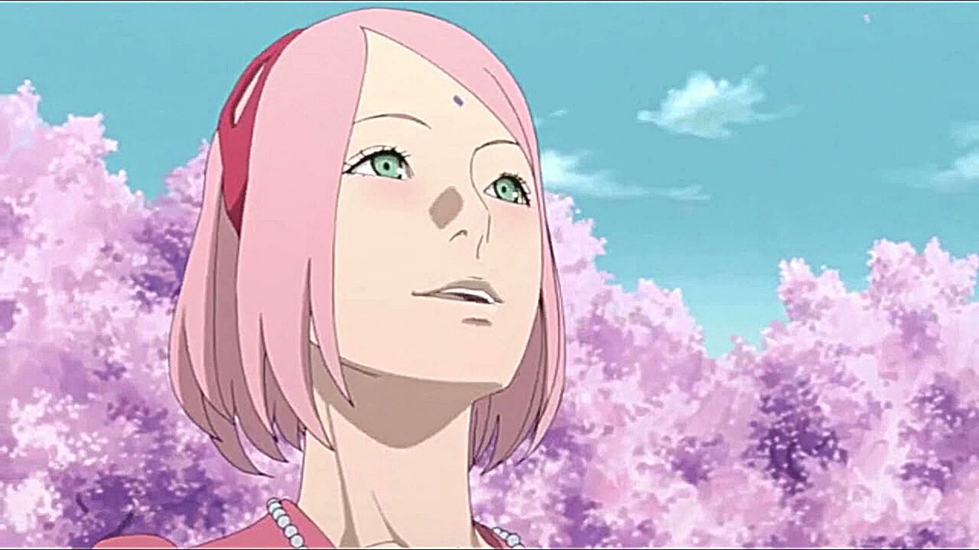 Sakura Haruno as seen in the series (Image via Studio Pierrot)
