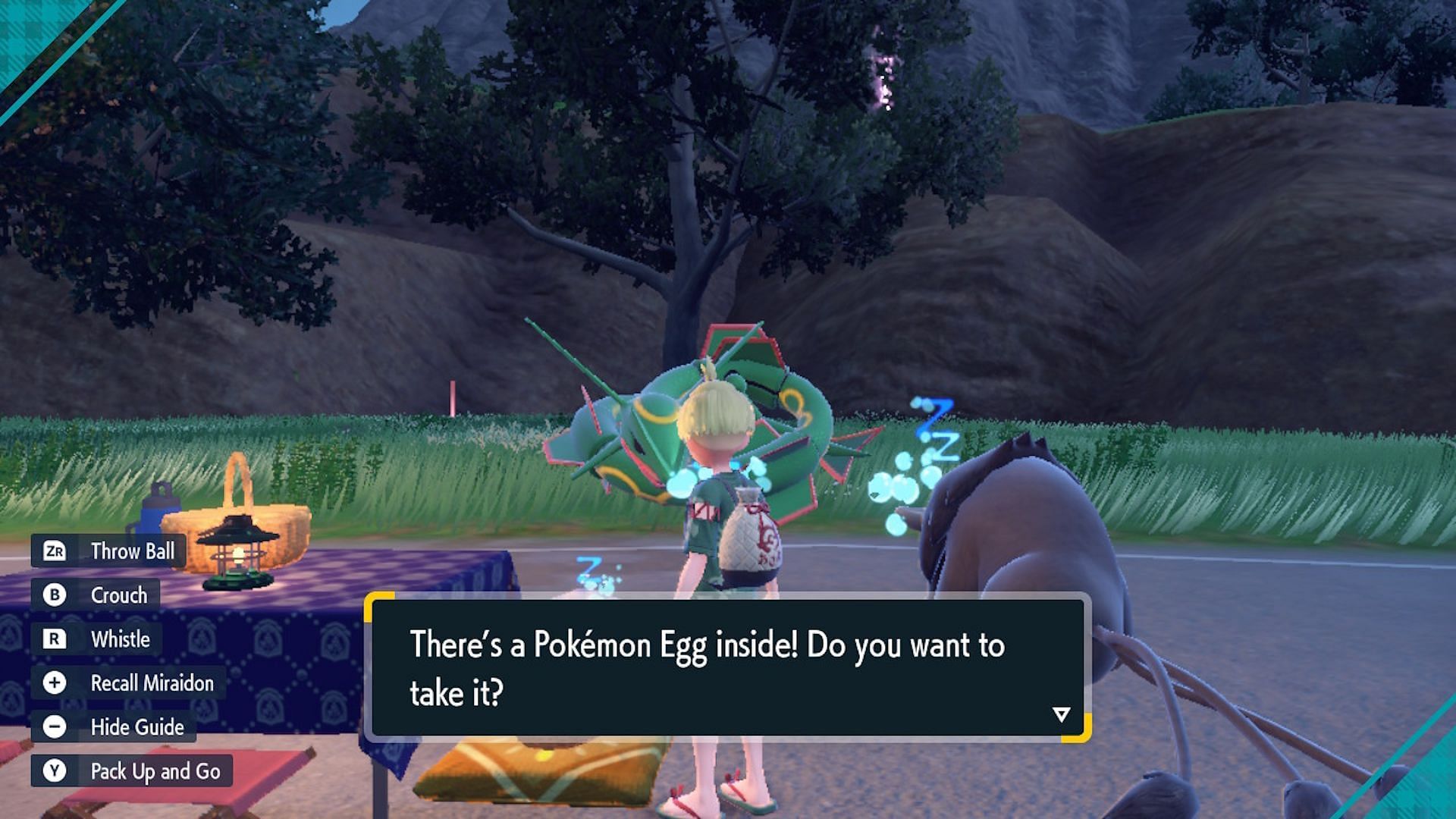 You can get eggs from the basket of a picnic (Image via Game Freak)