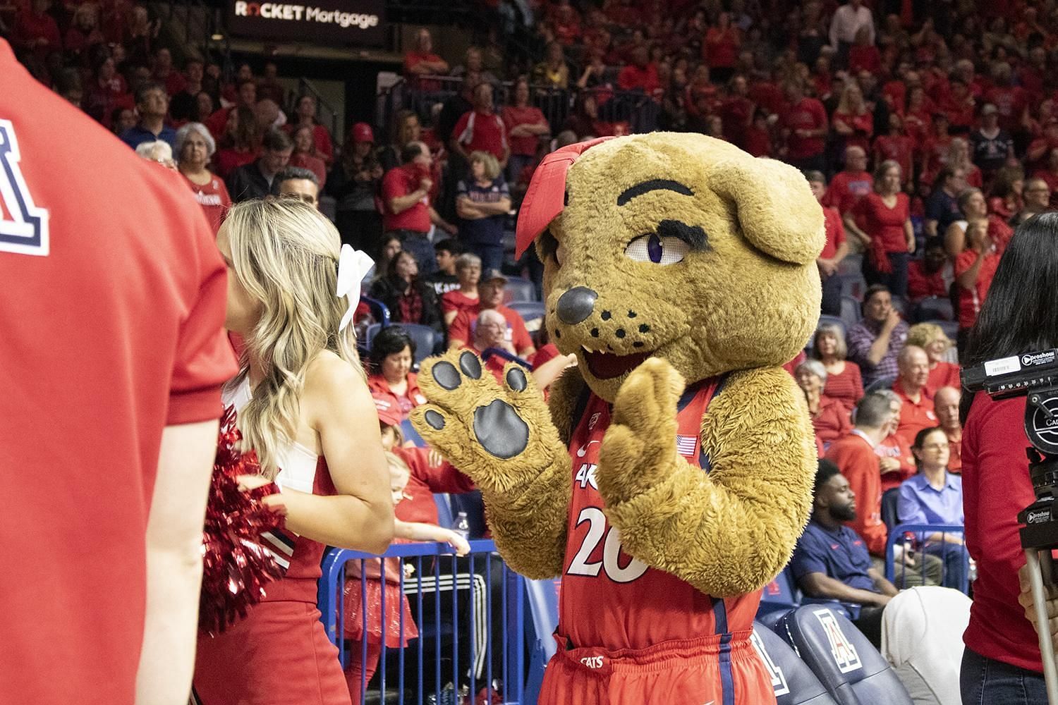 What is the Arizona Wildcats Female Mascot?