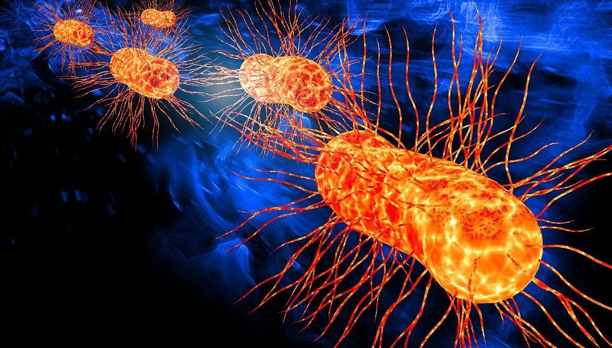 E.coli Outbreak (Image via Calgary Herald)