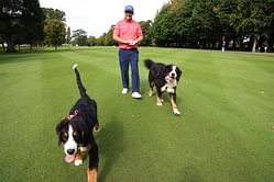Padraig Harrington tees off with his furry companions at 2023 Irish Open Pro-Am