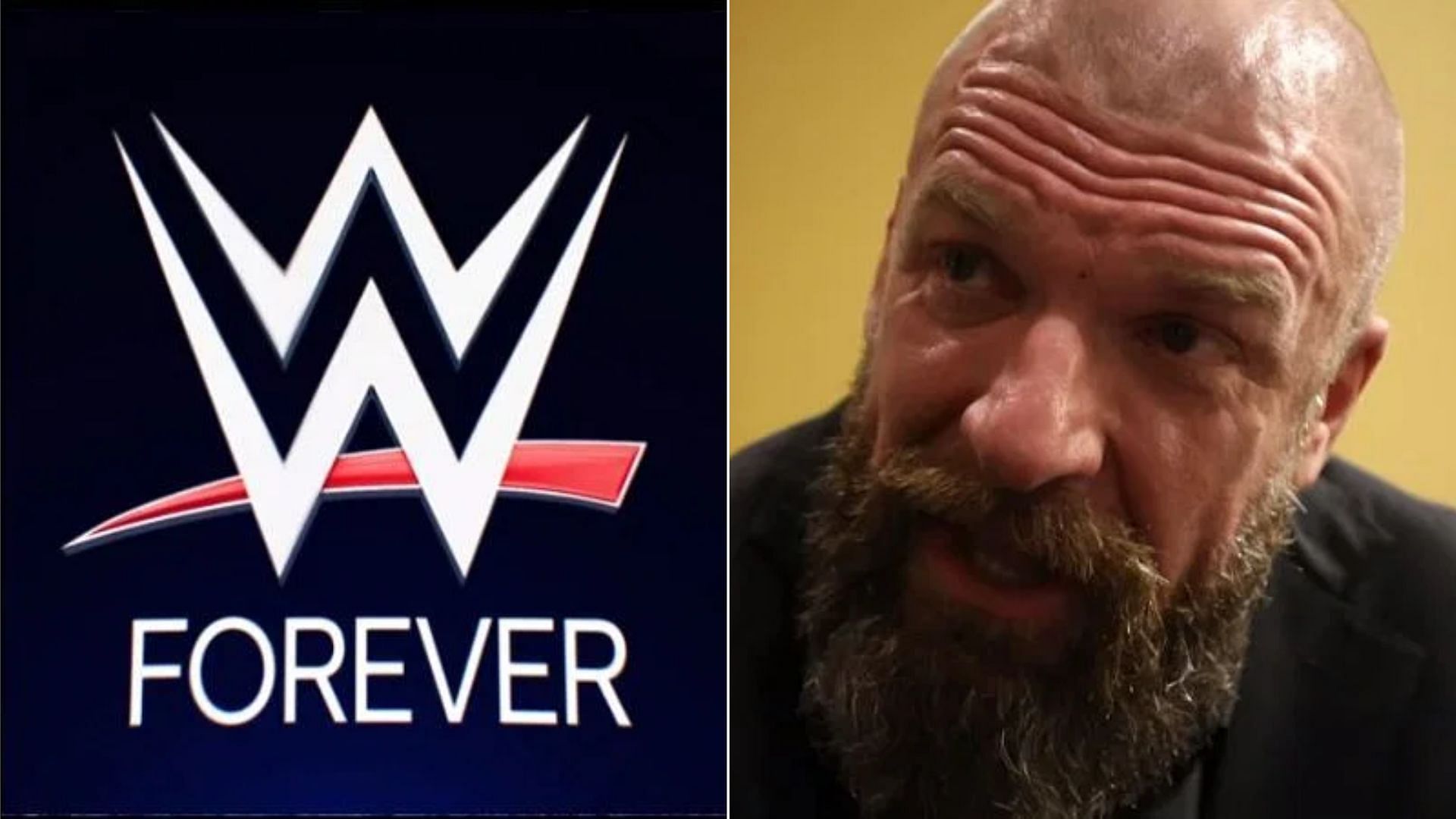 Triple H has worked for WWE since 1995