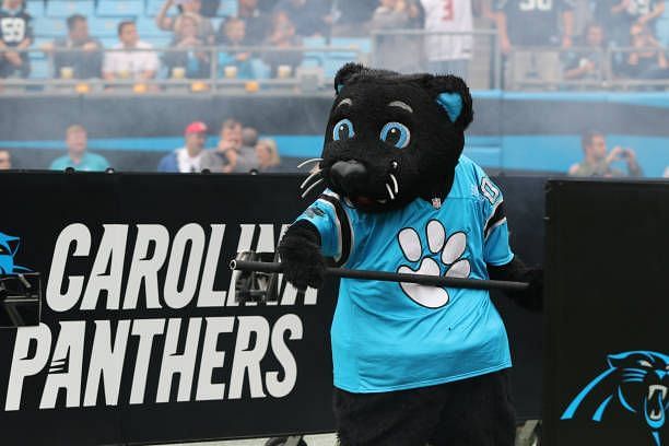 Carolina Panthers Mascot Sir Purr