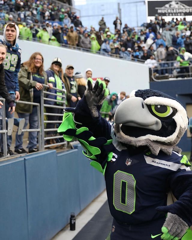 Seahawks mascot - Blitz