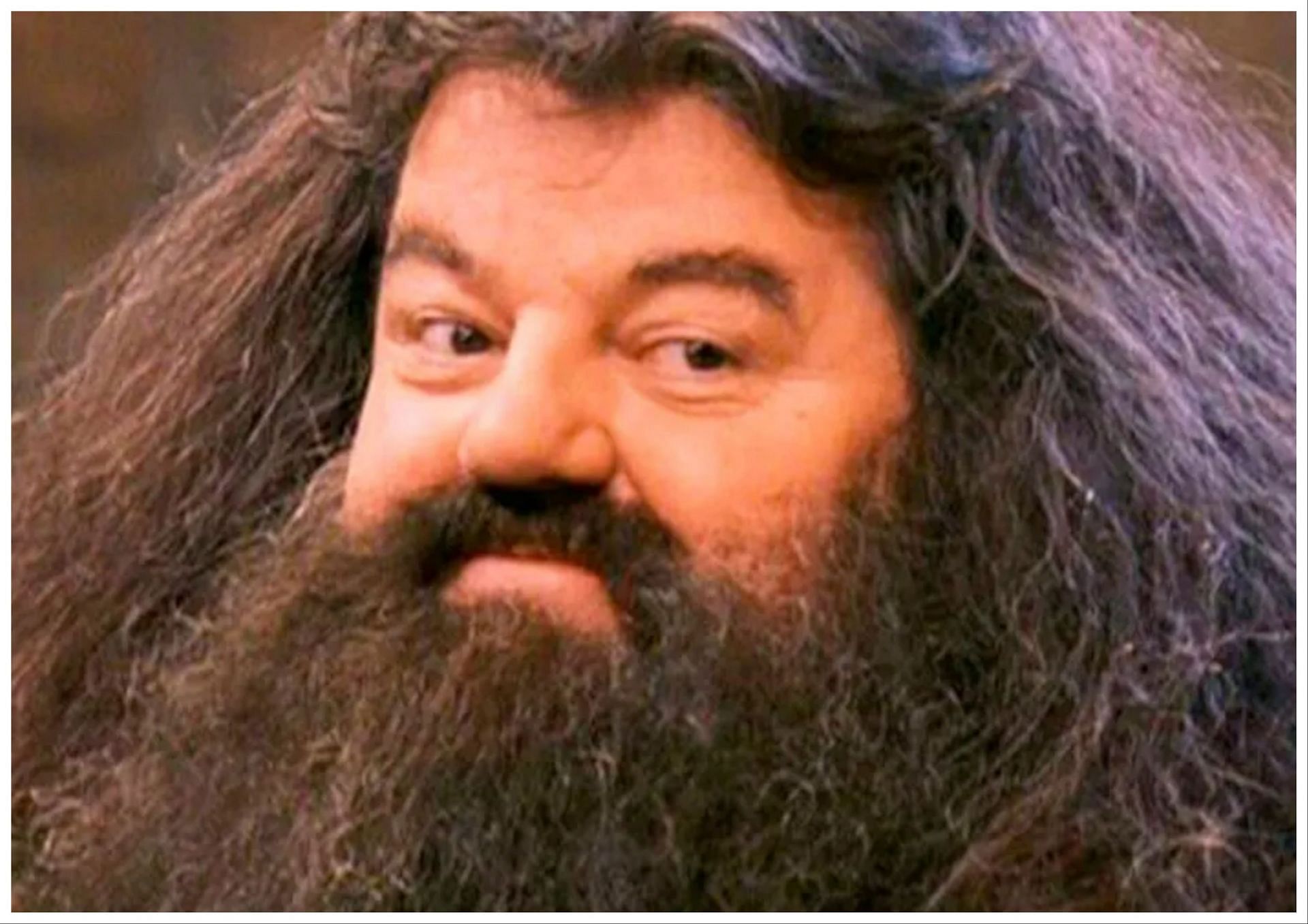 Robbie Coltrane passed away at the age of 72 (Image via Harry Potter movie)