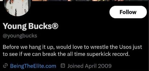 Young Bucks bio