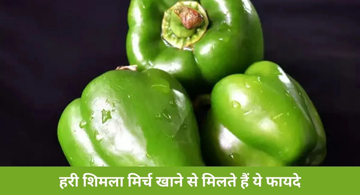 हरी शिमला मिर्च खाने से मिलते हैं ये फायदे(फोटो-Sportskeeda hindi)