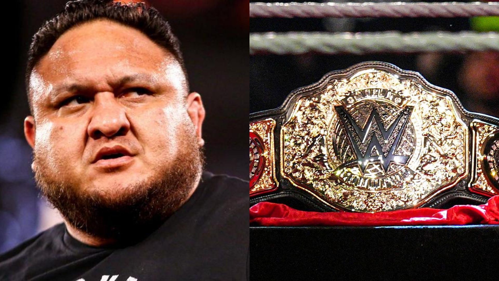 Samoa Joe is the current ROH TV Champion
