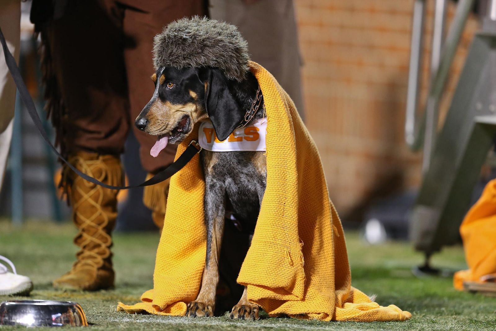 What kind of Dog is Smokey at Tennessee